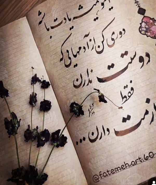 زمین