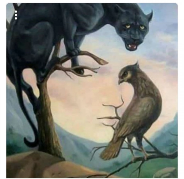محراب
