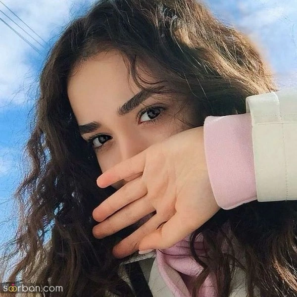 دلبروک