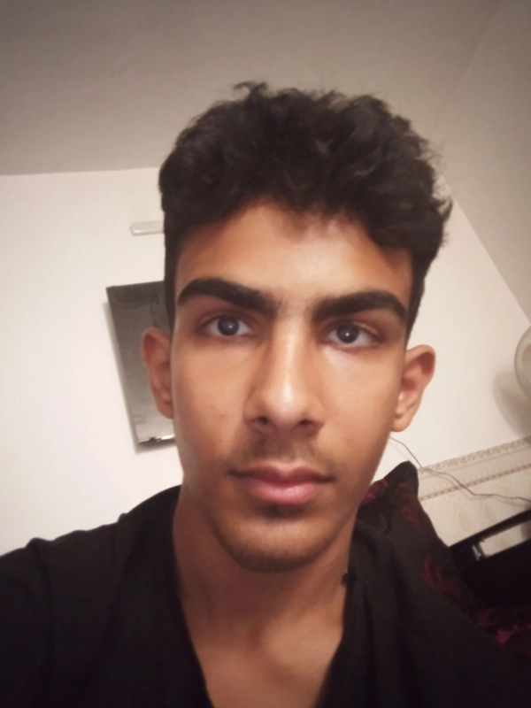 دلبر تنها