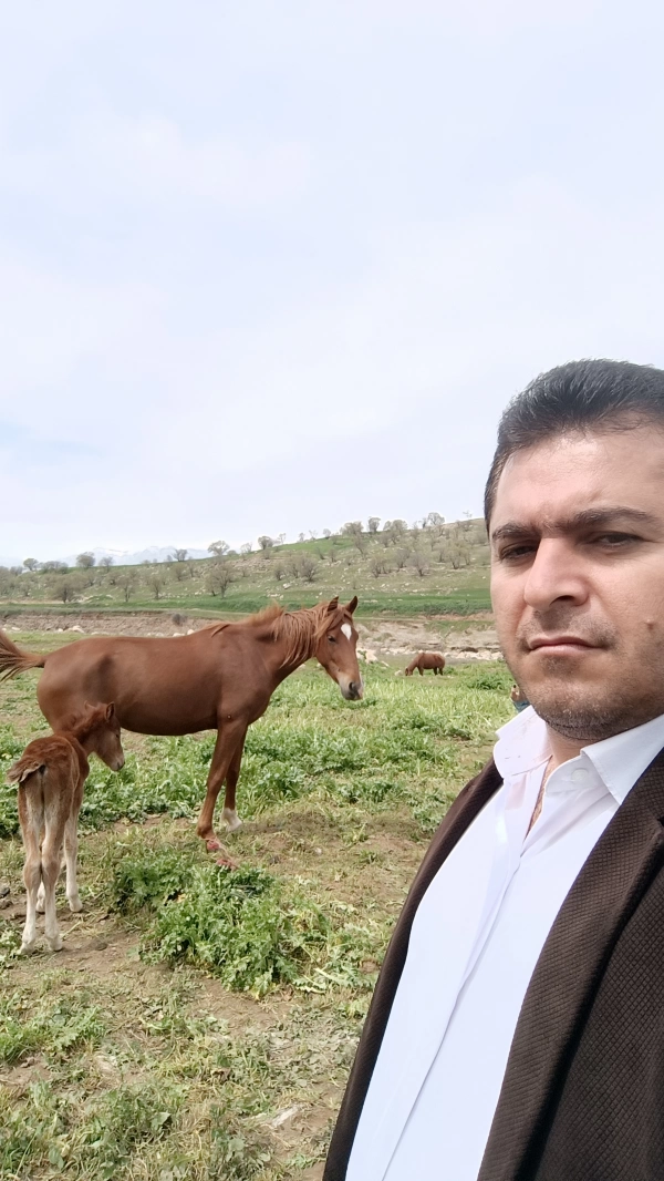 ali