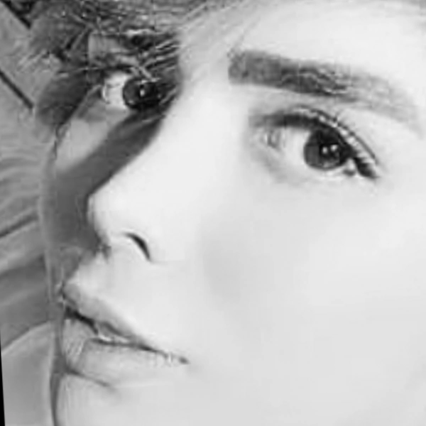 سهیل