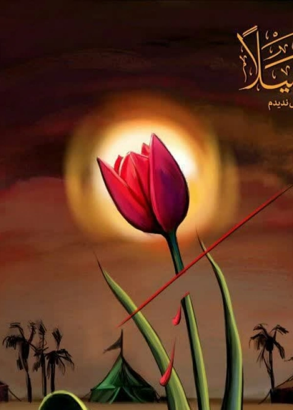 محمد
