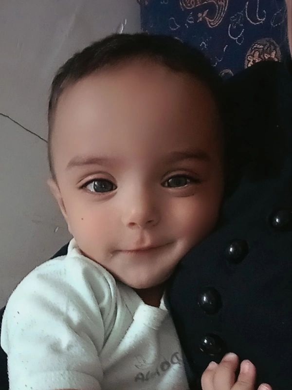 بردیا