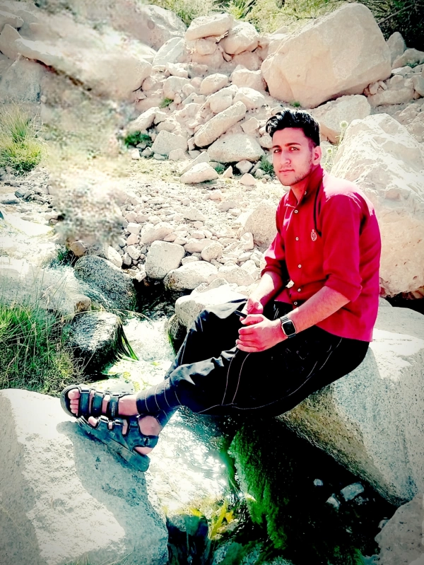 حامد