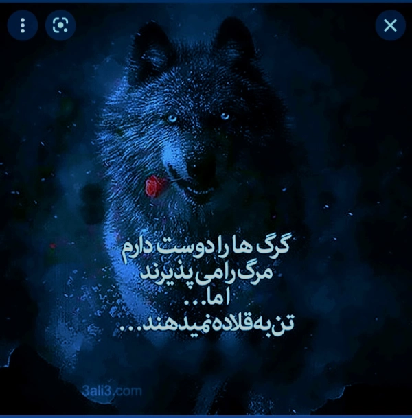 علی