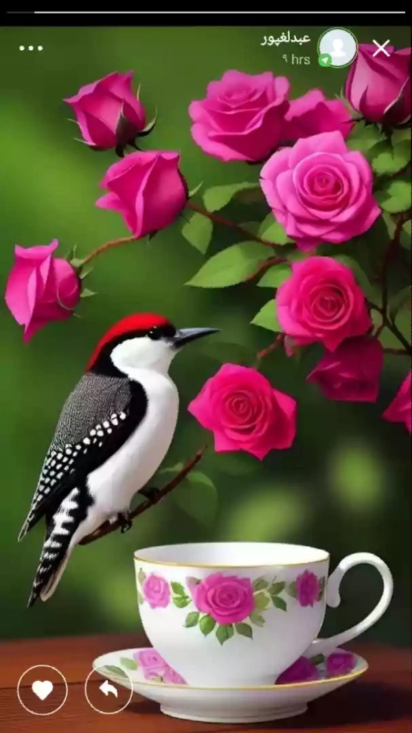 پویا