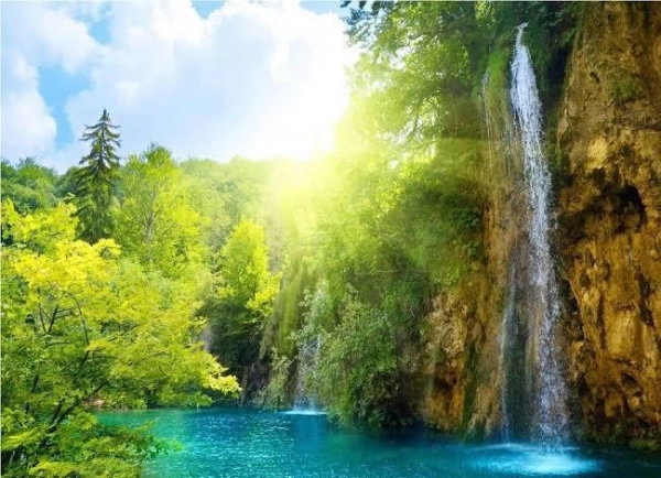 مهدی