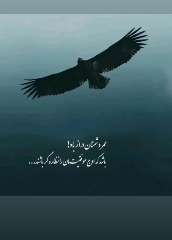 Hazara.1000