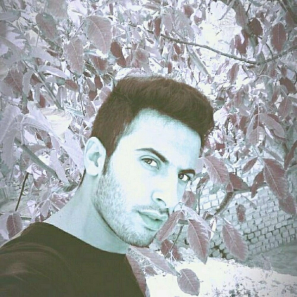 Ali ashori