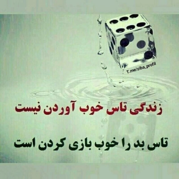 زندگی
