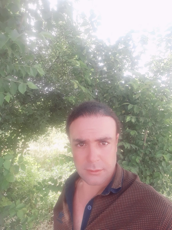 arash a