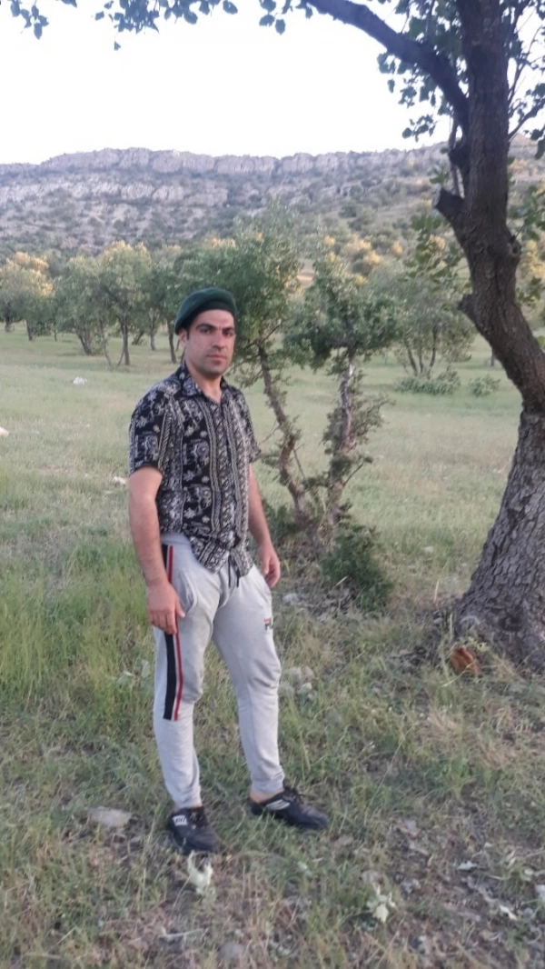 شمسی
