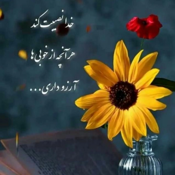 راحیل