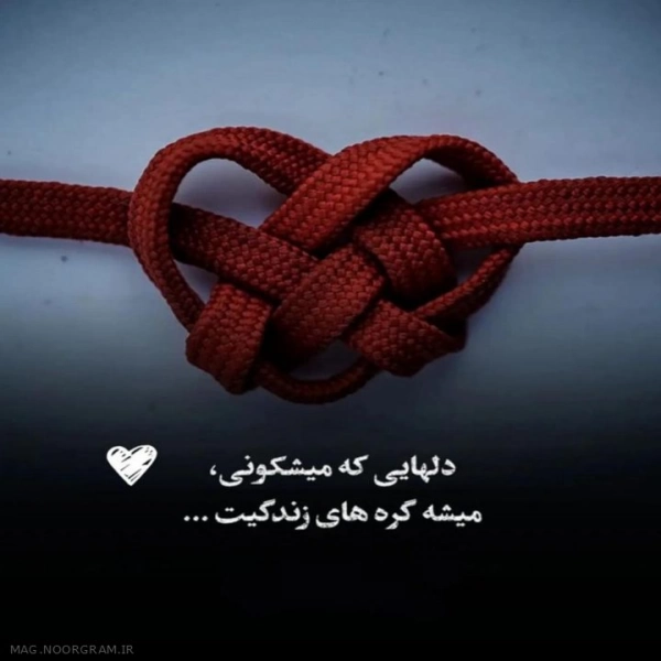 alireza