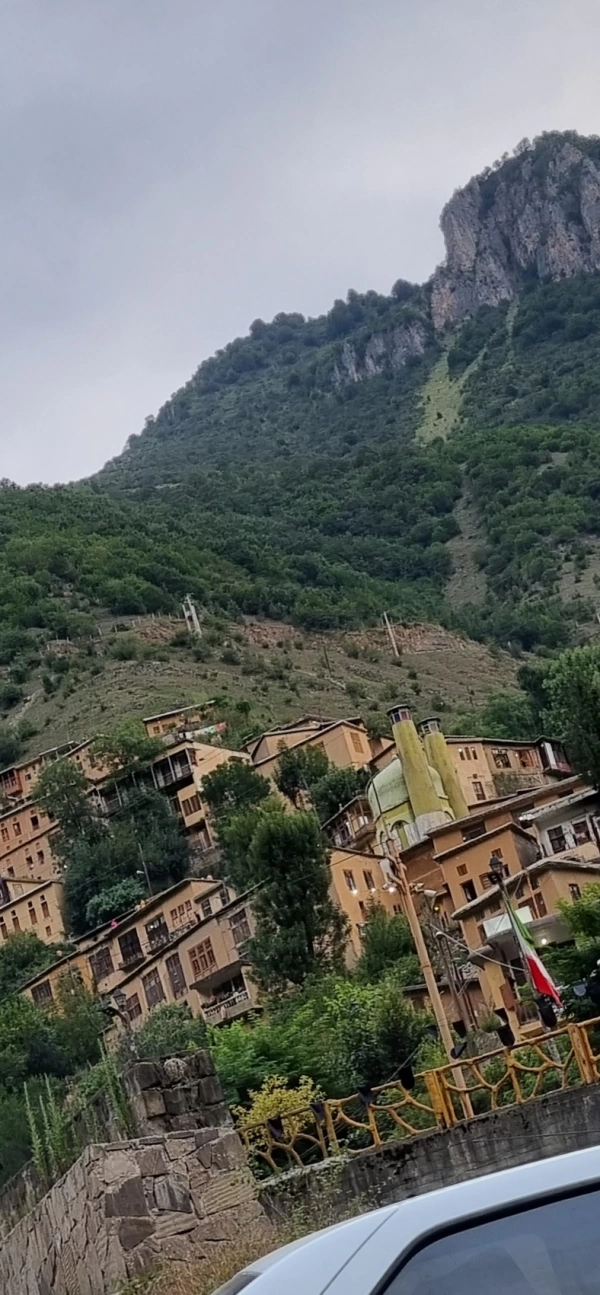 علیرضا