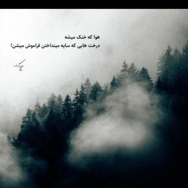 سیاه