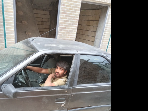 شاهین شکاری