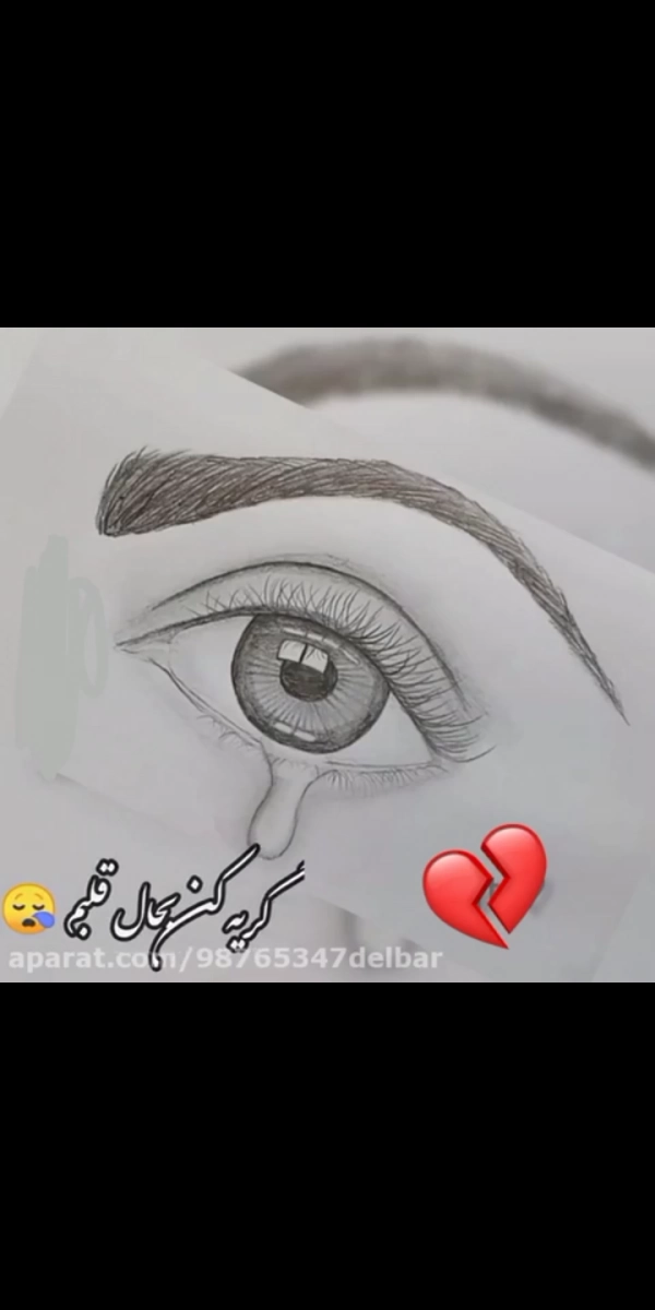 امیر.سعیدی