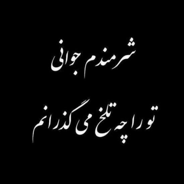 سعید
