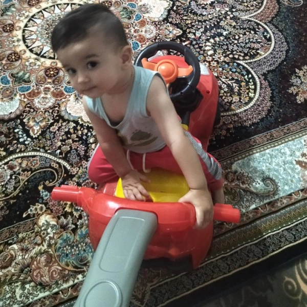 mehdi