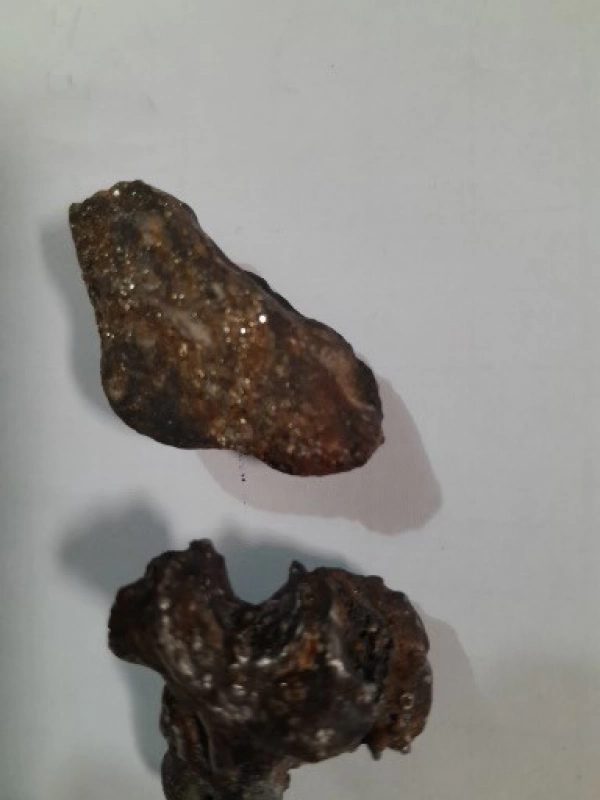 sarzminemohabat
