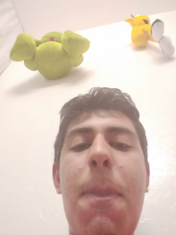 چت