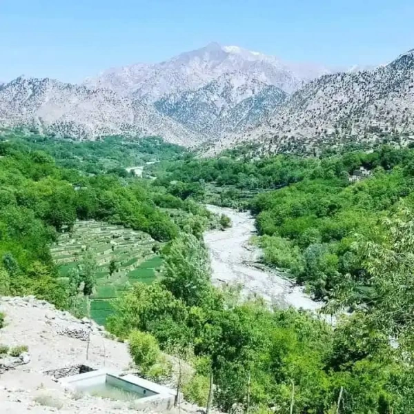شیراز