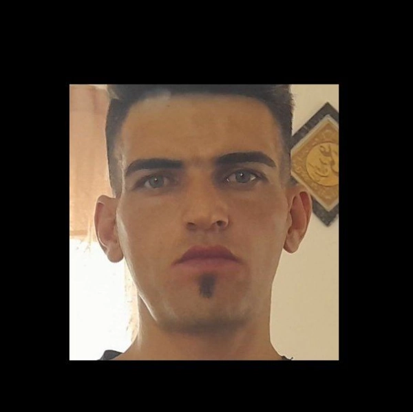 عقاب تنها