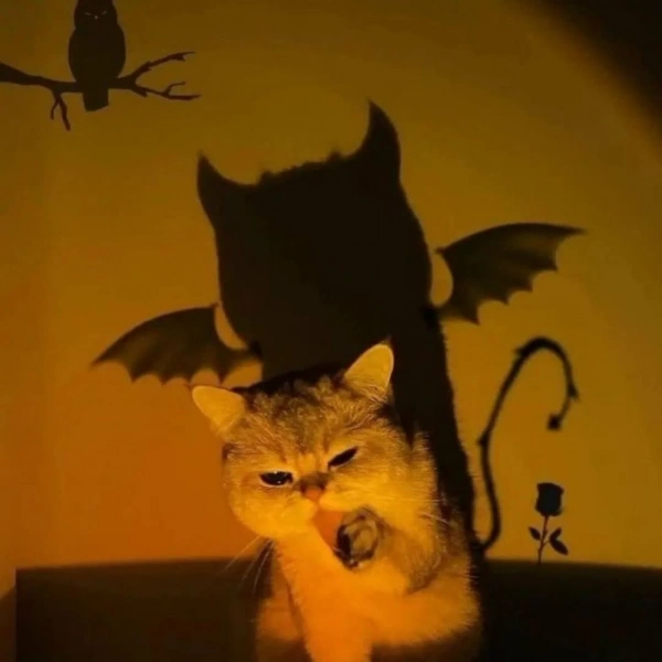 ..حآڪم..