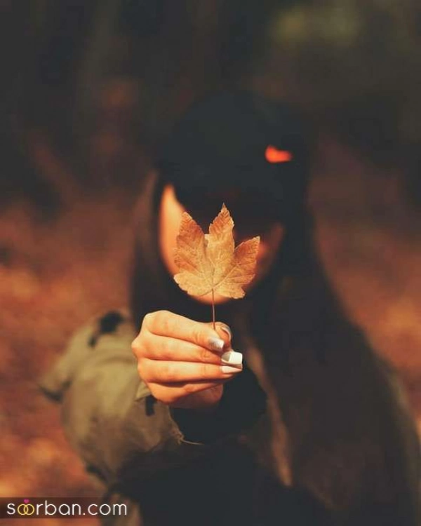 محیا