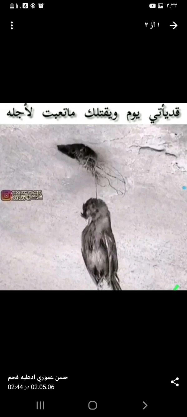 حبیب
