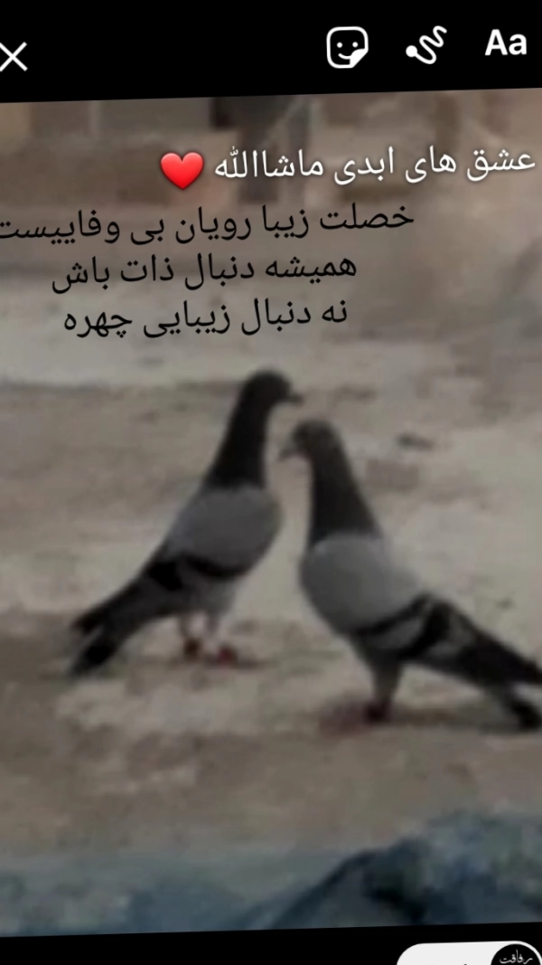 داوطلب مرگ