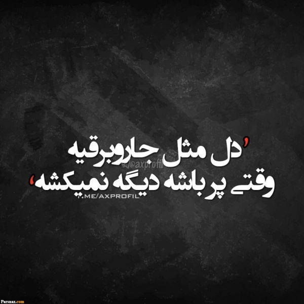 Reyhaneh۱۳۸۳