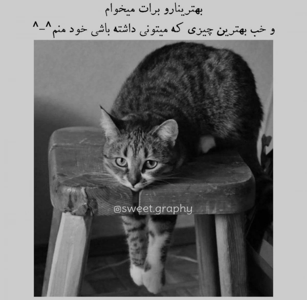 نفیس