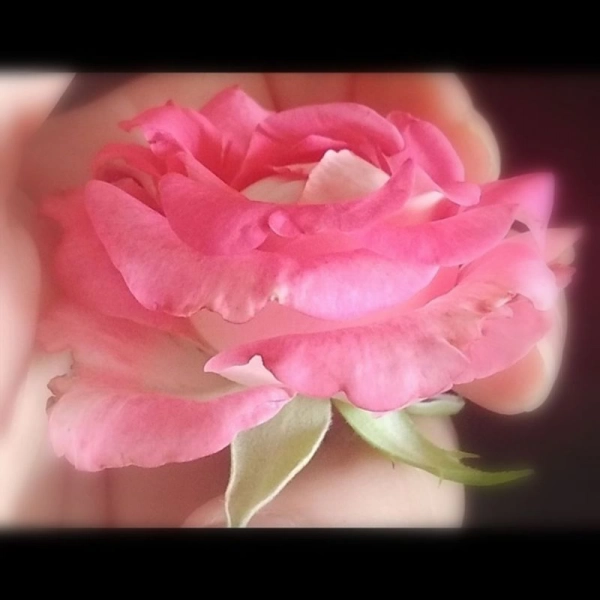 علیصابتی