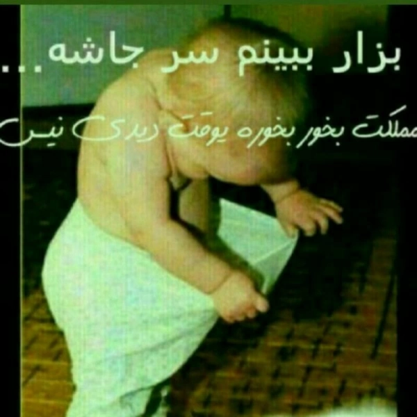 @navid0510