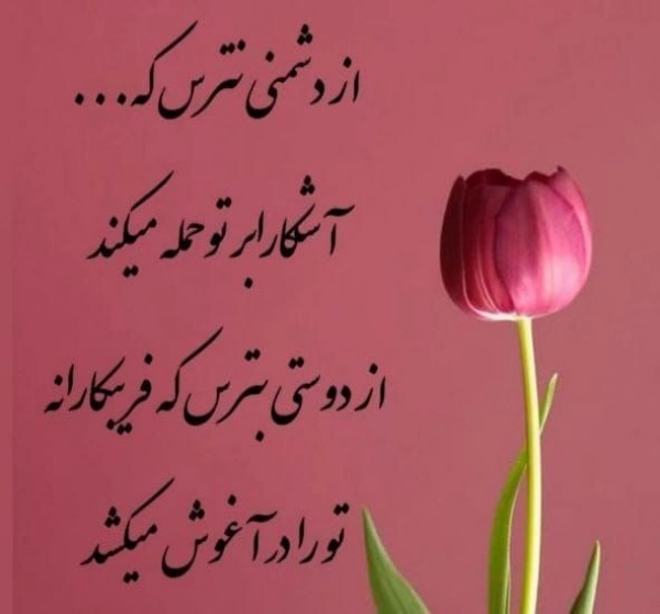 زمین