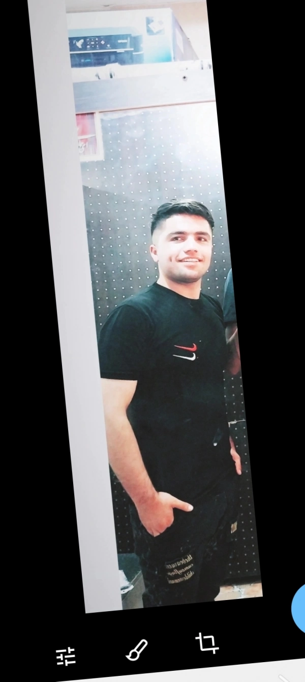 شاهین