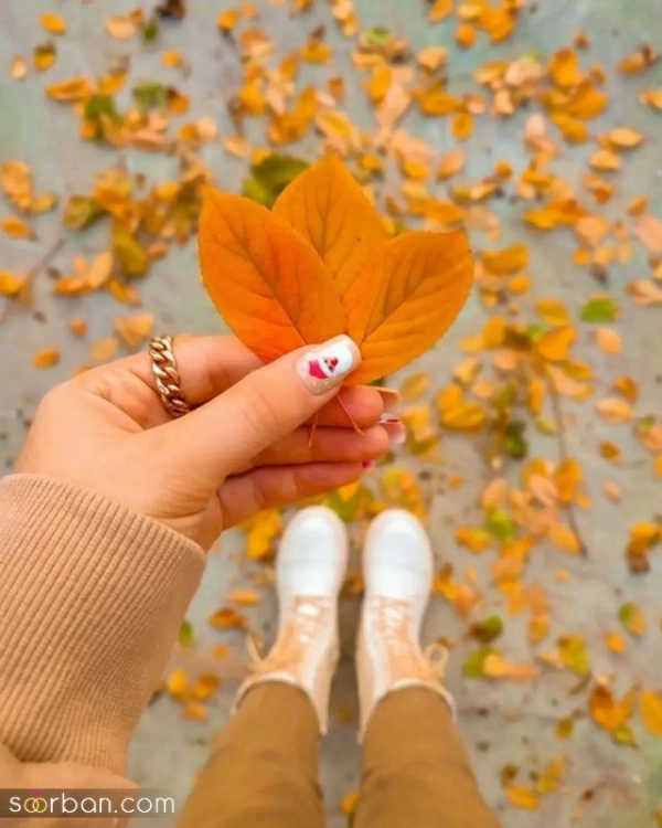 لیلای جزیره‌ی مجنون