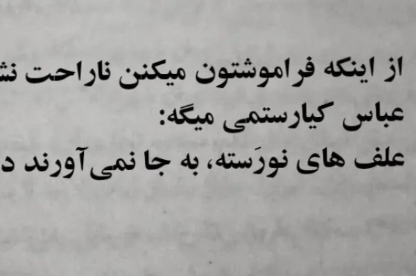 HaMeD