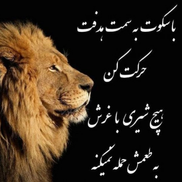 شهاب ❤سنگ ❤