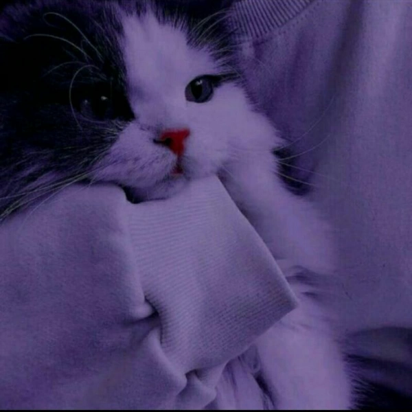 M.M.M