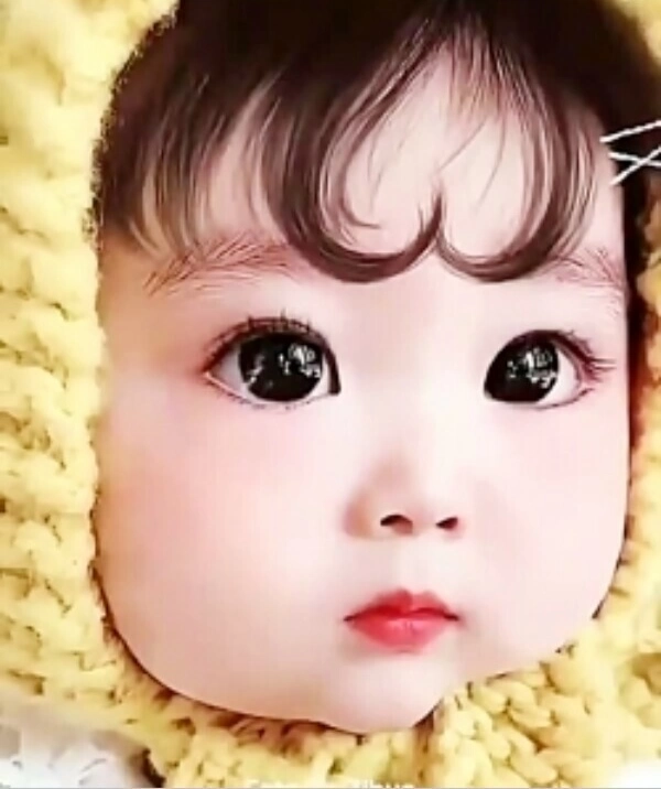 zamin