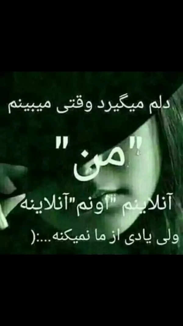 سعید امیری