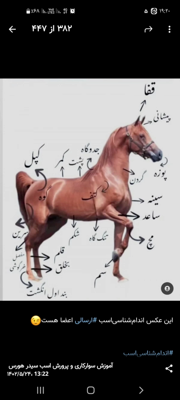 بی دنیا