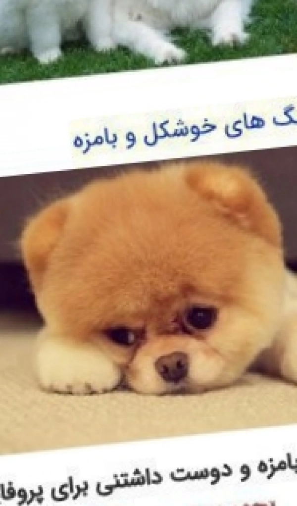 نادیا