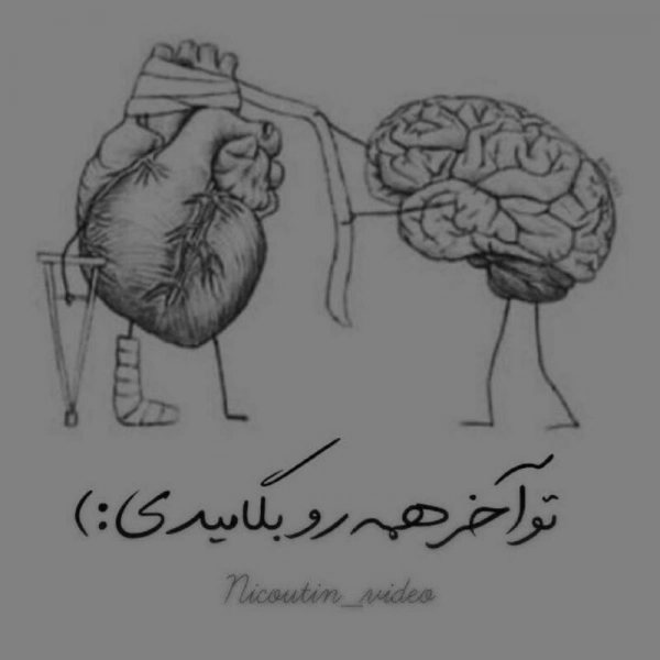 مسلم