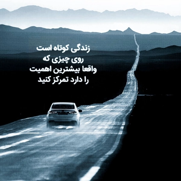 حامد....zzzzz