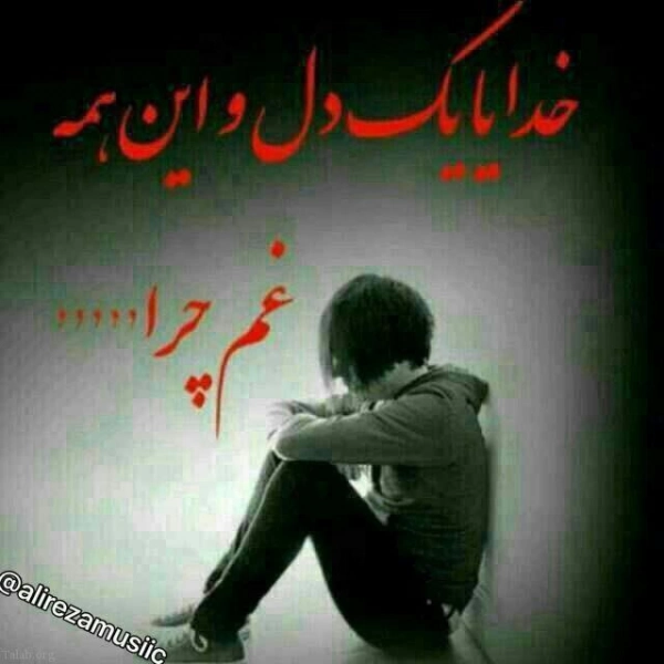 moamd